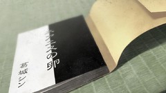 Books Anime innocent grey novel game cg Kara no Shoujo visual