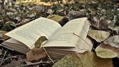 Books artwork fallen leaves