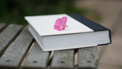 Books bench pink flowers
