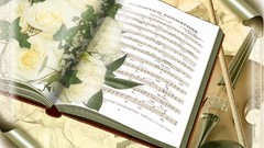 Books Biutiful (movie)