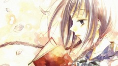 Books Bungaku Shoujo braids