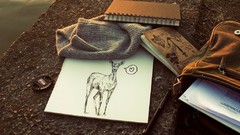 Books deer Pencils notebook drawings note book
