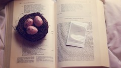 Books eggs