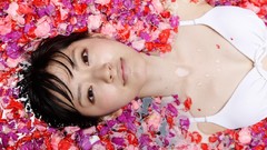 Books Japanese project hello asians lingerie models digital 