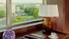 Books Lamps cups photograph