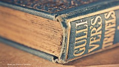 Books Literature gulliver