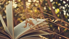 Books Plants sunlight depth of field