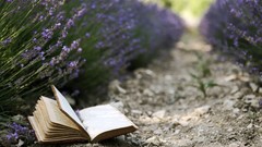 Books purple flowers depth of field