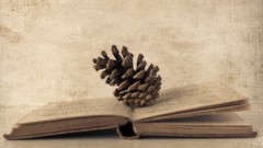 Books sepia pinecones illustrations digital art