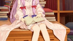 Bookworm Knowledge Patchouli bookshelf