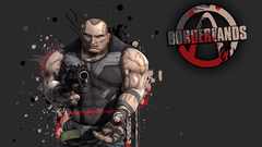 Borderlands Brick-Borderlands