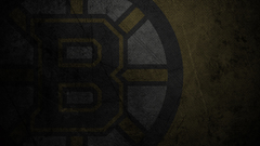 Boston bruins