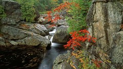 Bouquet north Parks rivers