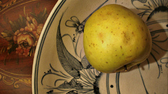 Bowl food fruit Food