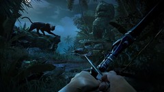 Bows far cry 3 video games fps panthers