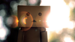 Box name danbo them heres rapidshare