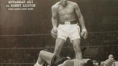 Boxing muhammad ali Cassius