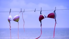 Bra Clothing skyscapes