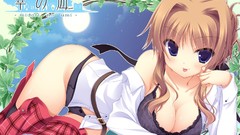 Bra midori no umi cleavage panties soft shading thigh highs 