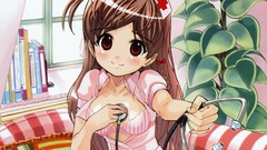 Bra nurses Anime anime