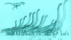 Brachioz so why? The