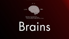 Brain