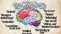 Brain Maps funny fun male Truth illustrations beers patience 