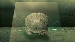 Brain natural album covers Metal Music