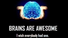 Brains