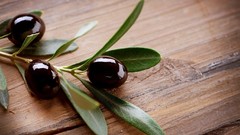 Branches food olives fruits