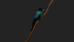 Branches grey background jared