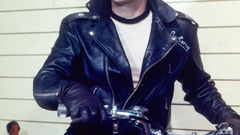 Brandomarlon Wild onethe high