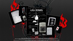 Brands Zippo lighters anatomy