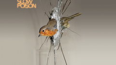 Bravery slowpoison cvr high