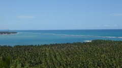 Brazil Praia do Gunga Maceió