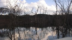 Brazil rivers corumba