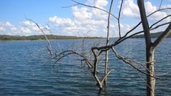 Brazil rivers corumba