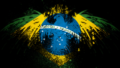 Brazilian carcara Brazil is