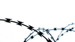 Brazor wire abstract