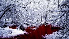 Breast high led rollin Resolution