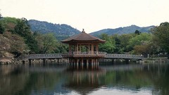 Bridge and building high