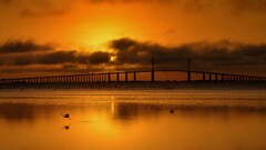 Bridge Birds Sea sky clouds water sun Animals