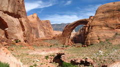 Bridge Dogs rainbow fucking why? does shitload