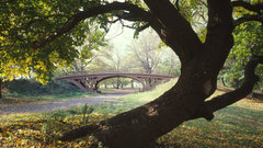 Bridge grass Park bent