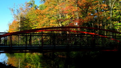 Bridge high architecture