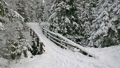 Bridge nature snow Trees