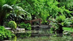 Bridge water outdoors Plants