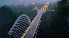 Bridges architecture forests