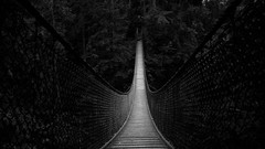 Bridges forests grayscale