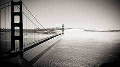 Bridges grayscale